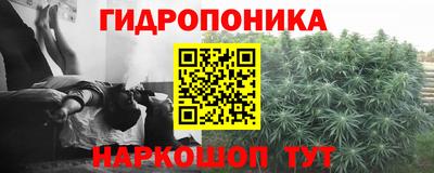 стафф Ирбит