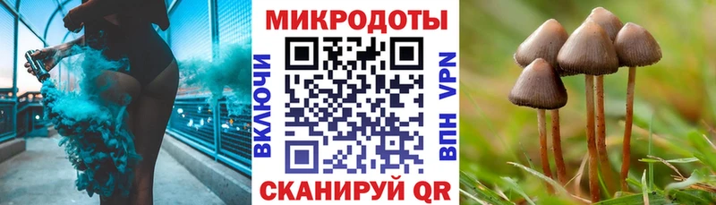 Псилоцибиновые грибы Cubensis  купить наркотики цена  Карталы 