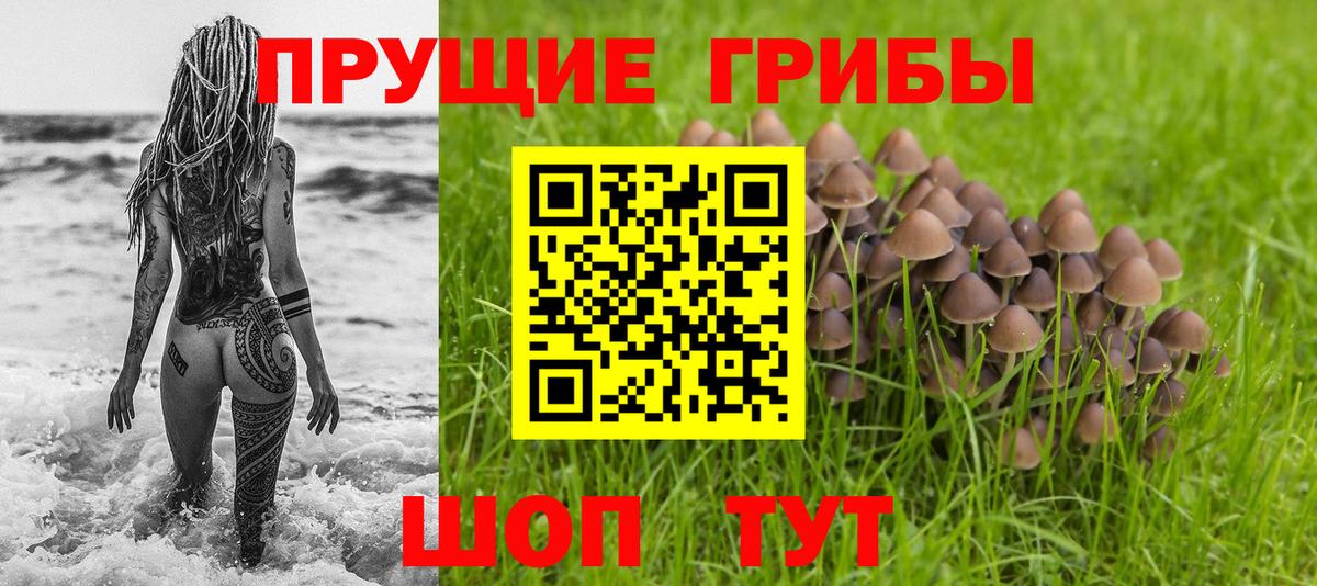 Псилоцибиновые грибы ЛСД Карталы